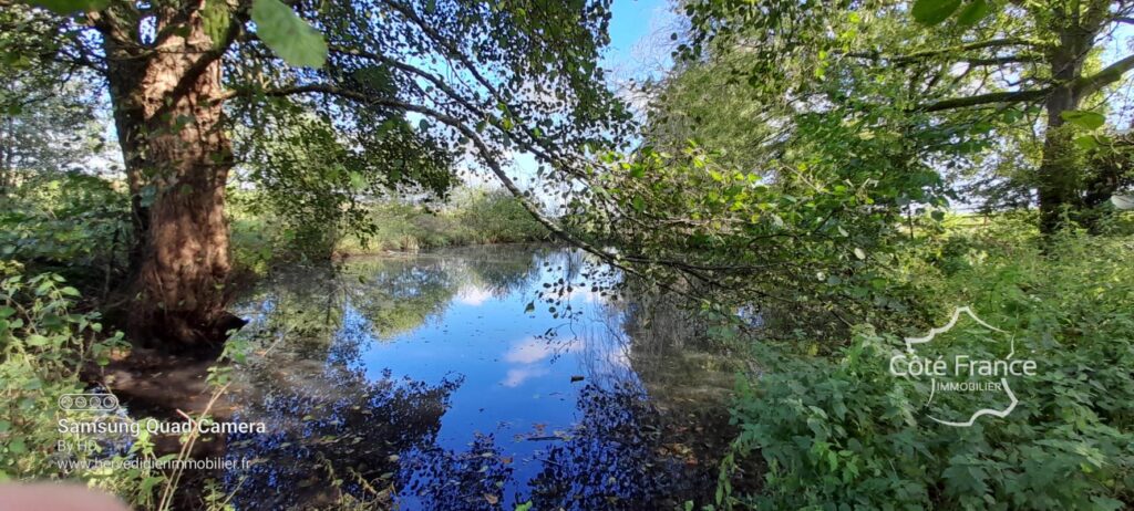 Sarthe 72 domaine idéal gîte 2 Maisons avec vue exceptionnel – 10 pièces – 4 chambres – 160 m²