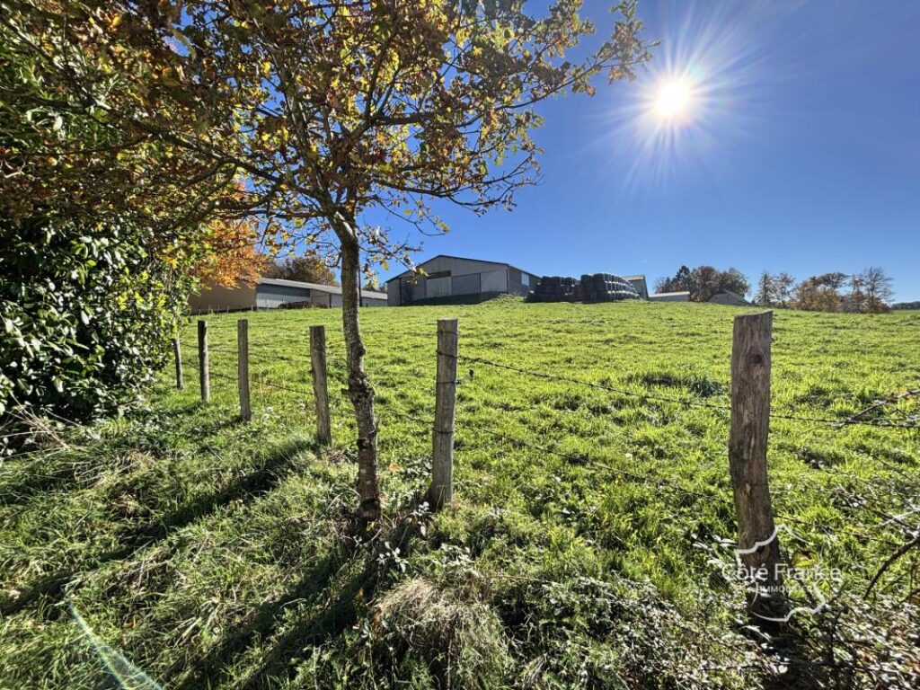 Maison d’été très charmante avec plus de 5 hectares du terra – 3 pièces – 2 chambres – 65 m²