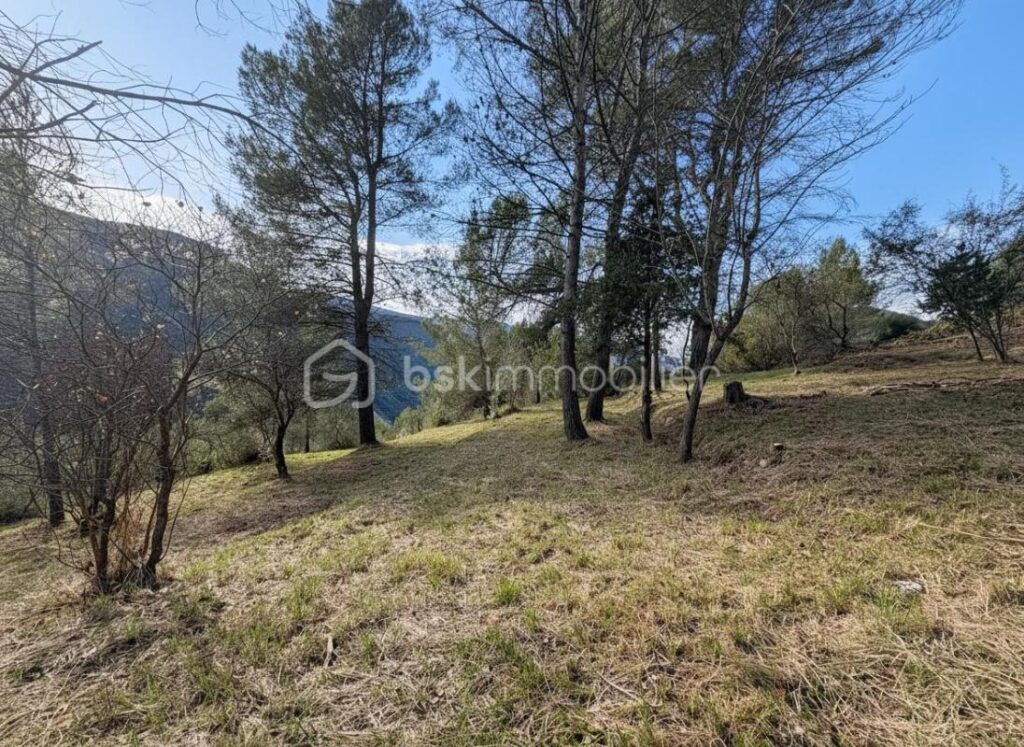 Rare à Pierrefeu : 3 046 m² de nature dont 1 084 m² constructibles, accès direct et étude de sol déjà réalisée – NR pièces – NR chambres – 3046 m²