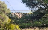 RARE- TERRAIN CONSTRUCTIBLE AVEC VUE++ – NR pièces – NR chambres – 1220 m²