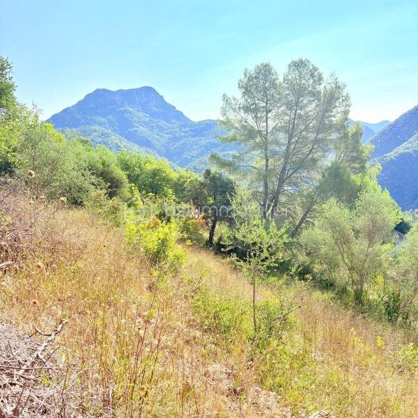 Terrain à vendre à Pierrefeu