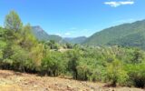 Terrain constructible de 1 605 m² – Vue panoramique – Pierrefeu (06910) À seulement 45 minutes de Nice, dans un cadre naturel privilégié – NR pièces – NR chambres – 1605 m²