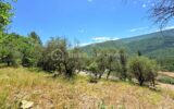 🌿 Terrain constructible – Pierrefeu (06910) 🌿 – NR pièces – NR chambres – 3077 m²