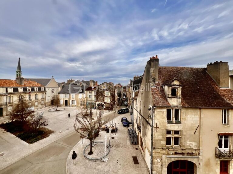 Appartement Duplex plateau hyper centre-ville – 3 pièces – 2 chambres – 64 m²