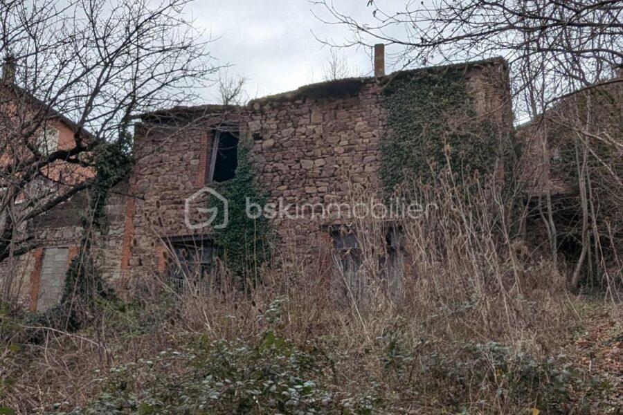Maison à vendre à Rozier en donzy