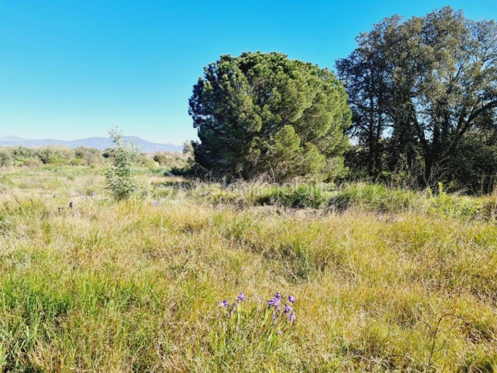 Terrain à batir – NR pièces – NR chambres – 1383 m²