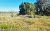 Terrain à batir – NR pièces – NR chambres – 1383 m²