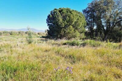 Terrain à batir – NR pièces – NR chambres – 1383 m²