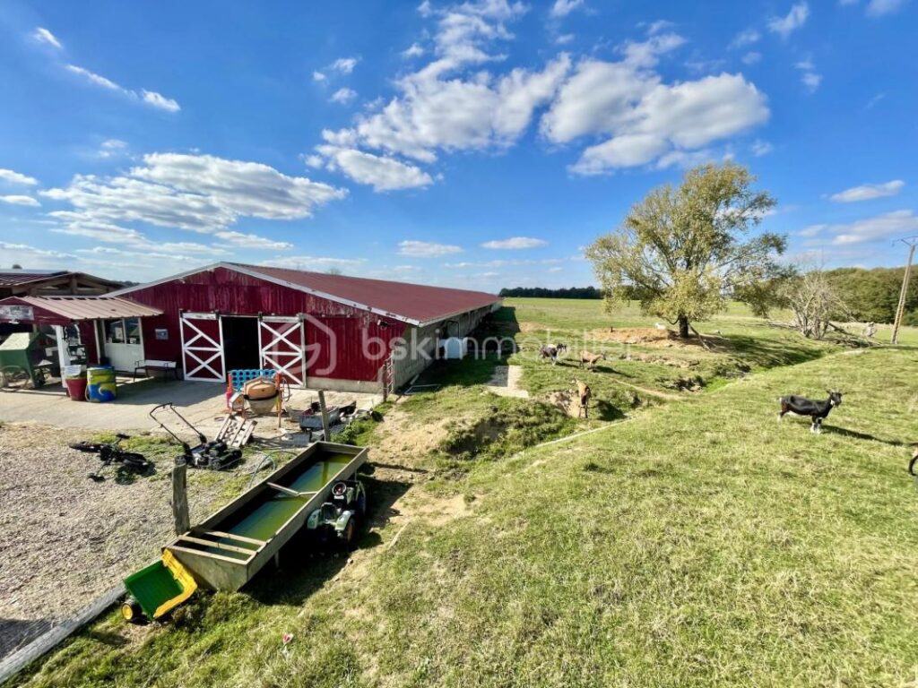 Propriété avec habitation et exploitation agricole – 3,8 ha de prairie – 7 pièces – 4 chambres – 178 m²