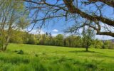 Terrain à vendre à Villy-le-Pelloux — Vue dégagée — photo 1
