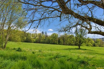 Terrain à vendre à Villy-le-Pelloux