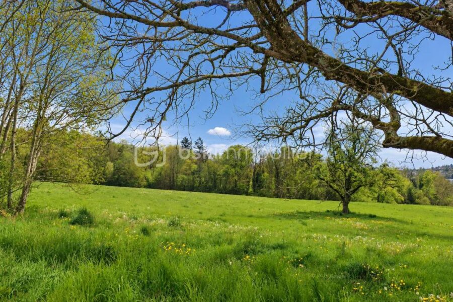 Terrain à vendre à Villy-le-Pelloux — Vue dégagée — photo 1