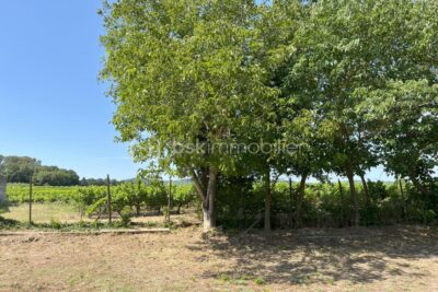 TERRAIN TRESQUES 1000 M² – NR pièces – NR chambres – 993 m²