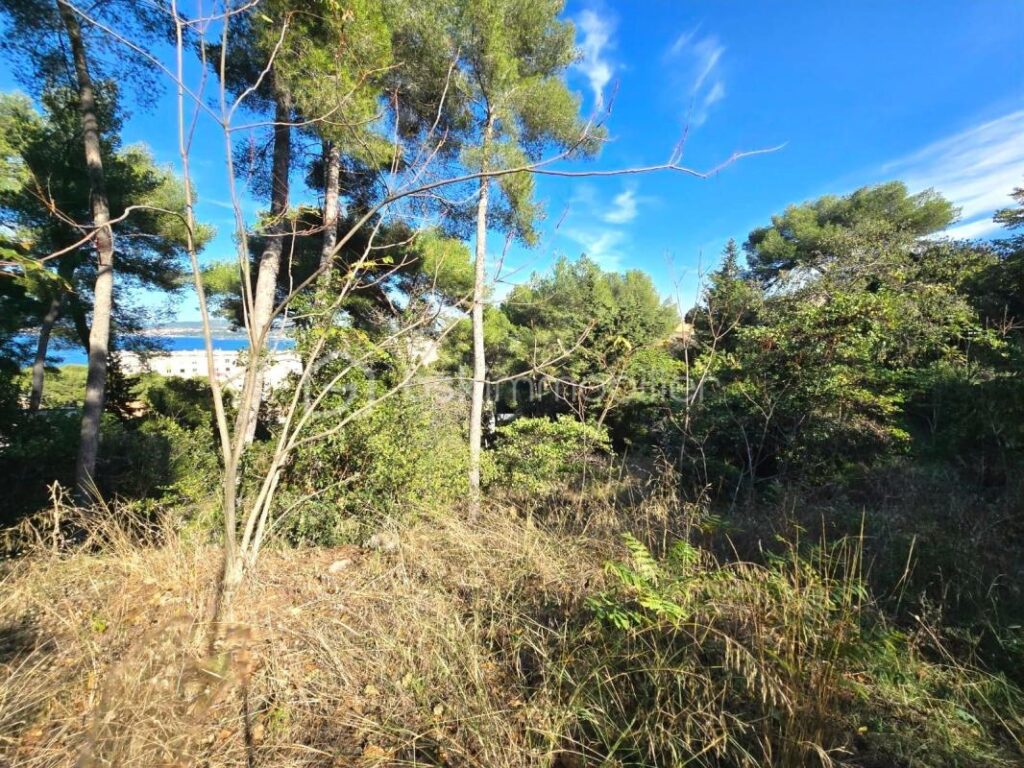 Terrain de 1419m² – Sète, Mont Saint-Clair – NR pièces – NR chambres – 1419 m²