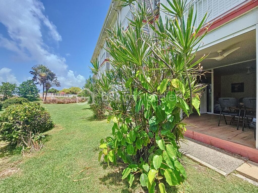 Studio Anse des Rochers – 1 pièce – 1 chambre – 29 m²