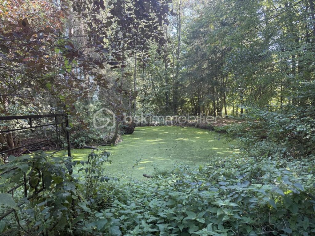 Havre de paix – 8 pièces – 4 chambres – 192 m²