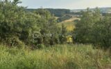 terrain à batir – NR pièces – NR chambres – 1013 m²