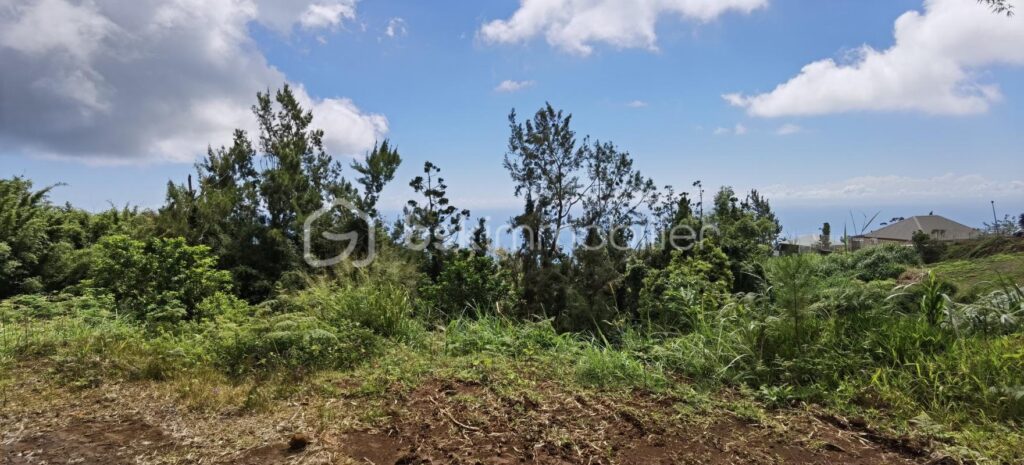 Terrain à vendre 2000 m2 – Saint-Denis – NR pièces – NR chambres – 2063 m²