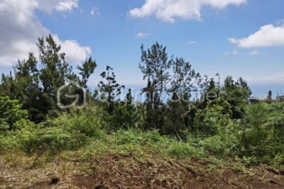 Terrain à vendre 2000 m2 – Saint-Denis – NR pièces – NR chambres – 2063 m²