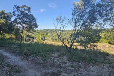 Vente Terrain de 15 401 m² – Possibilité d’acquérir des parcelles de 2 000 m² à partir de 13 500 € – NR pièces – NR chambres – 15401 m²