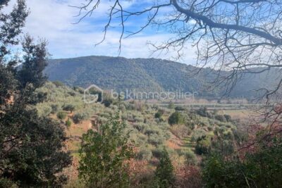 A VENDRE TERRAIN AGRICOLE OLIVERAIE A LODEVE – NR pièces – NR chambres – 8300 m²