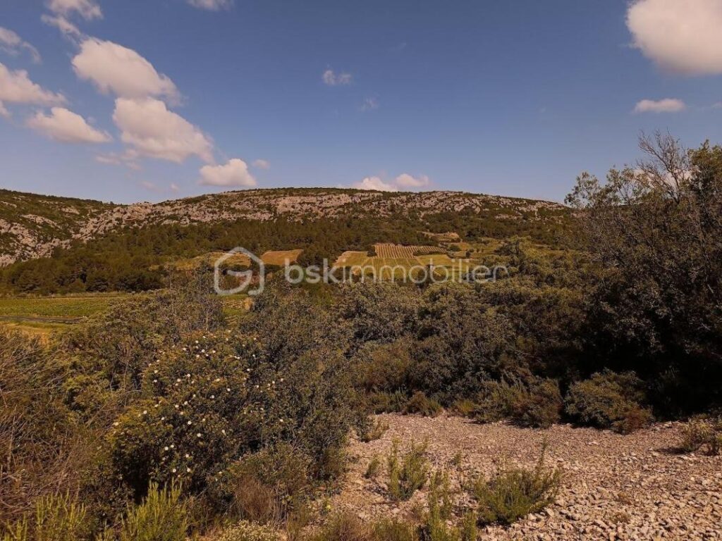 Terrain Agricole à Tautavel – 12 410 m² en Nature de Vigne en Friche – NR pièces – NR chambres – 12490 m²