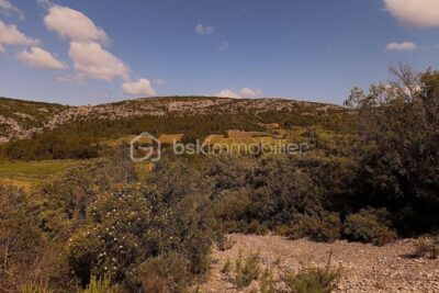 Terrain Agricole à Tautavel – 12 410 m² en Nature de Vigne en Friche – NR pièces – NR chambres – 12490 m²