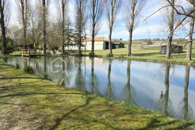 Charentaise de plus de 300m2 avec étang et gite – 11 pièces – 6 chambres – 364 m²