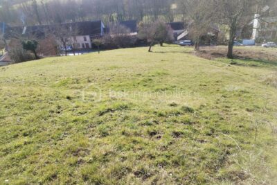 A vendre : terrain à batir à la Neuville-Lès-Wasigny – NR pièces – NR chambres – 1853 m²