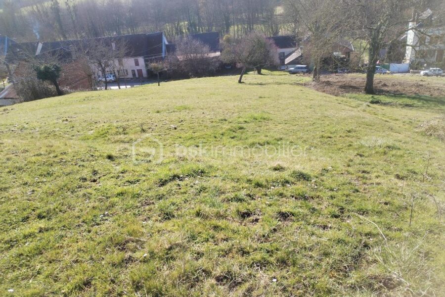 Terrain à vendre à La neuville les wasigny