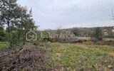 Terrain sur la commune de Villevieille – Zone AA – NR pièces – NR chambres – 7256 m²