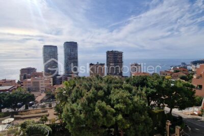 Bel appartement VILLA MEDICIS 4pièces à seulement 5 mn de Monaco ,vue mer – 4 pièces – 3 chambres – 78 m²