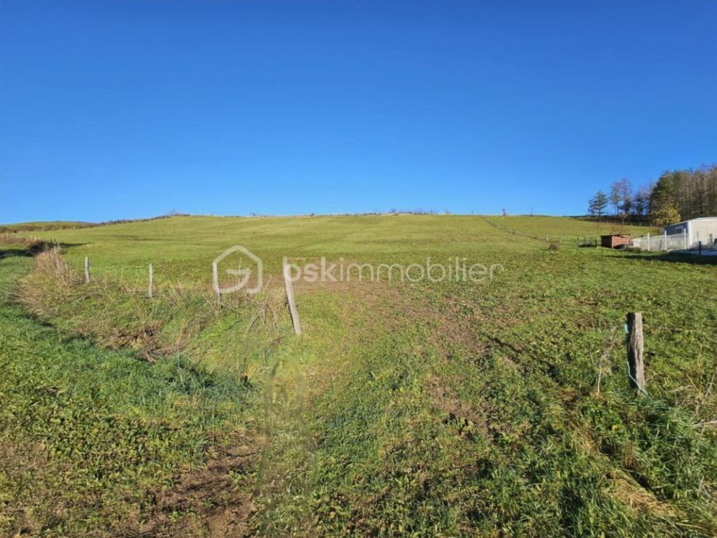 Terrain constructible de 7 380 m² – Vue dégagée & exposition plein sud – Moriat – NR pièces – NR chambres – 7380 m²
