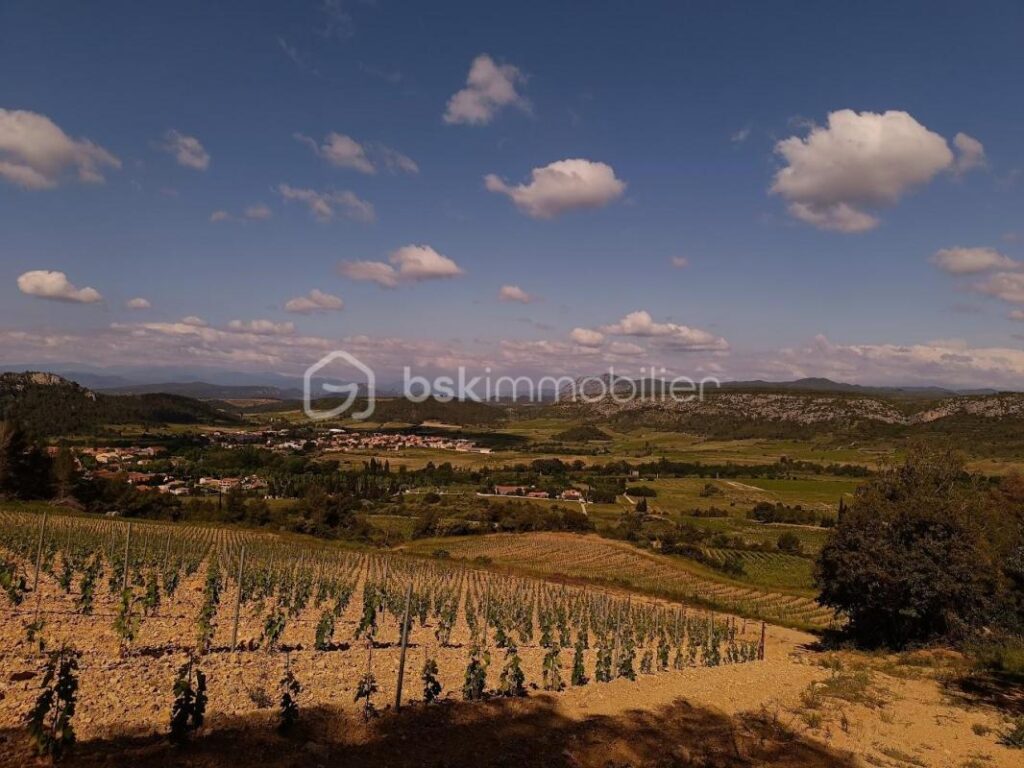 À vendre – Terrain agricole de 2 045 m² – Vue panoramique à Tautavel – NR pièces – NR chambres – 2045 m²