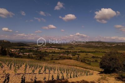À vendre – Terrain agricole de 2 045 m² – Vue panoramique à Tautavel – NR pièces – NR chambres – 2045 m²