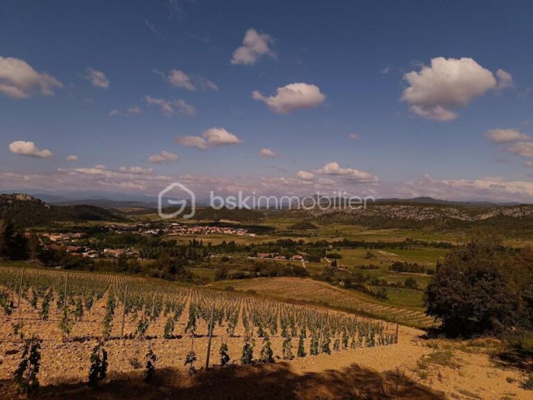 À vendre – Terrain agricole de 2 045 m² – Vue panoramique à Tautavel – NR pièces – NR chambres – 2045 m²