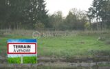 TERRAIN : 1150m² Cadre verdoyant vue vers la forêt – NR pièces – NR chambres – 1000 m²