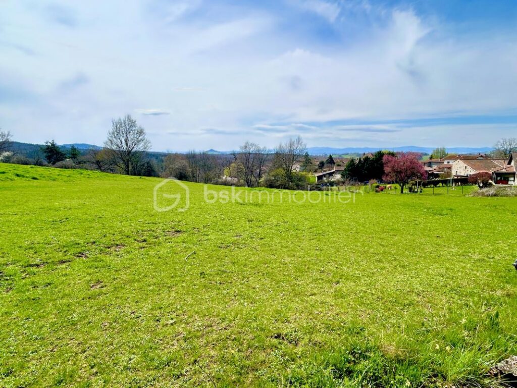 Terrain constructible de 4060m2 – NR pièces – NR chambres – 4066 m²