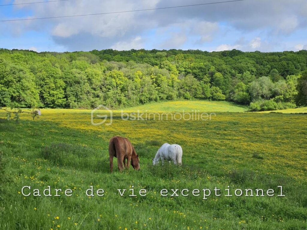 Terrain constructible proche des chevaux – NR pièces – NR chambres – 226 m²