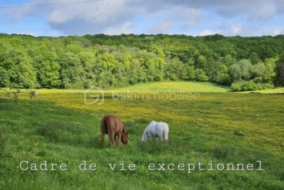 Terrain constructible proche des chevaux – NR pièces – NR chambres – 226 m²