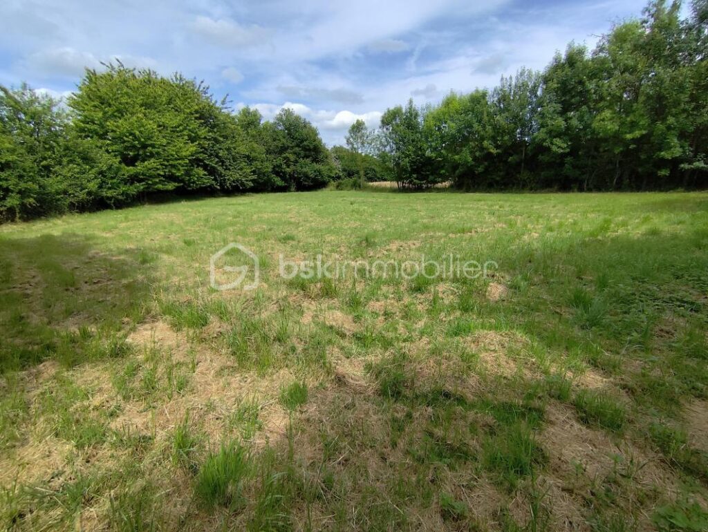 Terrain constructible – NR pièces – NR chambres – 1122 m²
