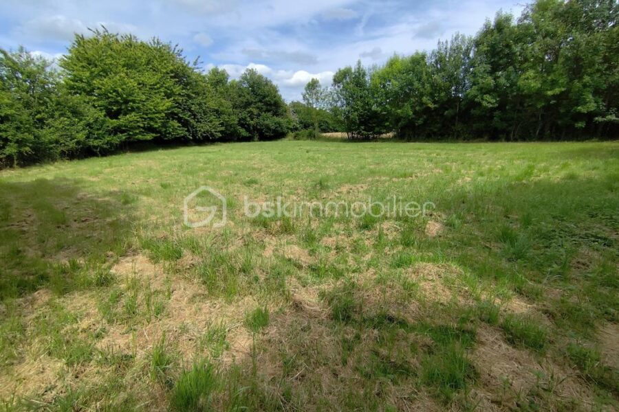 Terrain à vendre à Lezay