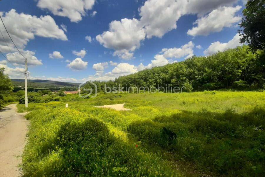 Terrain à vendre à Cereste