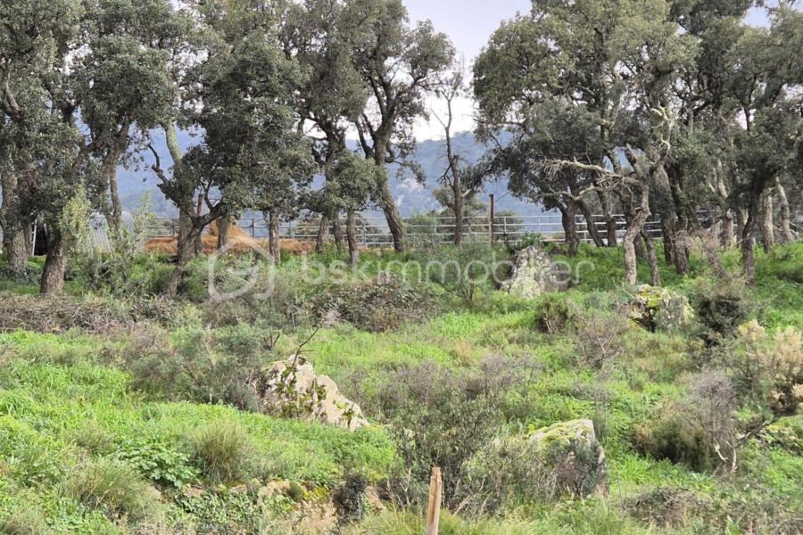 Terrain à vendre à Argeles sur mer