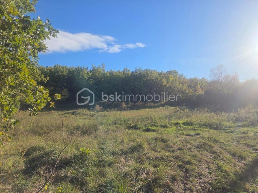 🌿 À VENDRE – Terrain en partie constructible de 13 747 m² – Céreste, cœur du Luberon 🌄 – NR pièces – NR chambres – 13747 m²