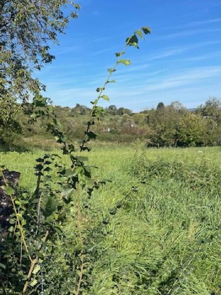 Terrain à vendre à Bouxieres aux chenes