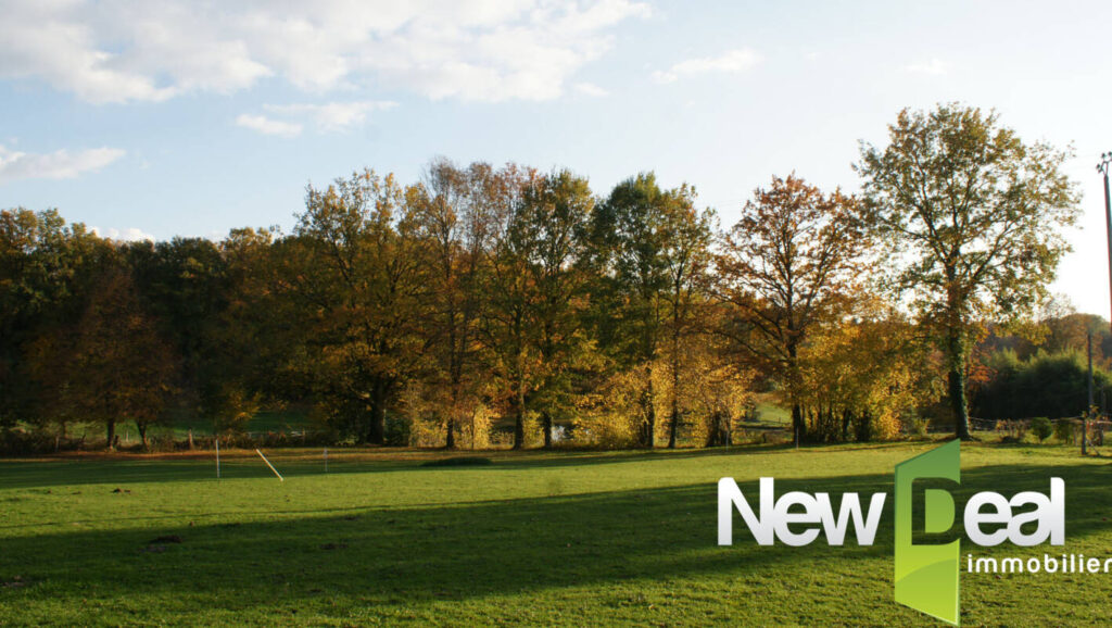 Terrain constructible – NR pièces – NR chambres – 1668 m²