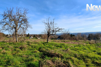 Très beau terrain de plus de 2000 m² sur les hauteurs de DONZENAC – NR pièces – NR chambres – 2279 m²