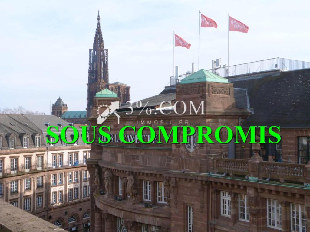 3%.COM : Strasbourg-Place Kleber T3 dernier étage – 3 pièces – 2 chambres – 55 m²