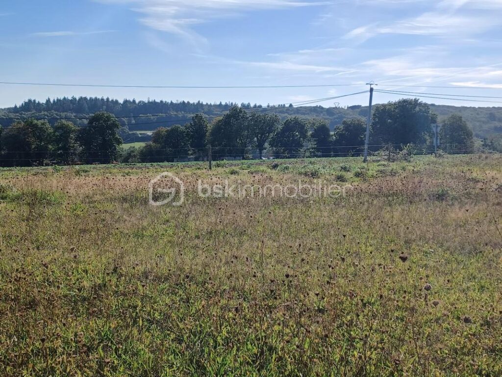 Terrain constructible de 1 000 m2 – NR pièces – NR chambres – 1000 m²